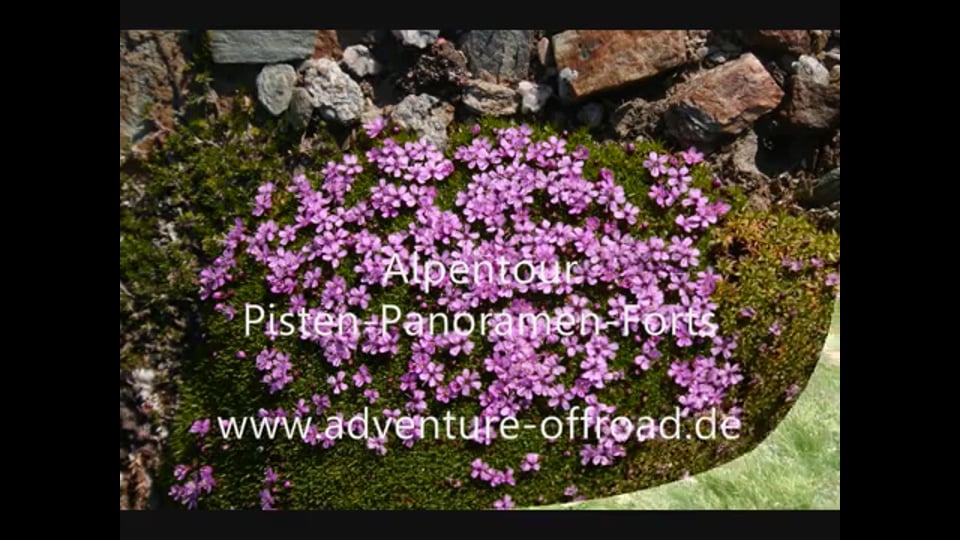 Adventure Offroad - Alpentour Offroad Reise