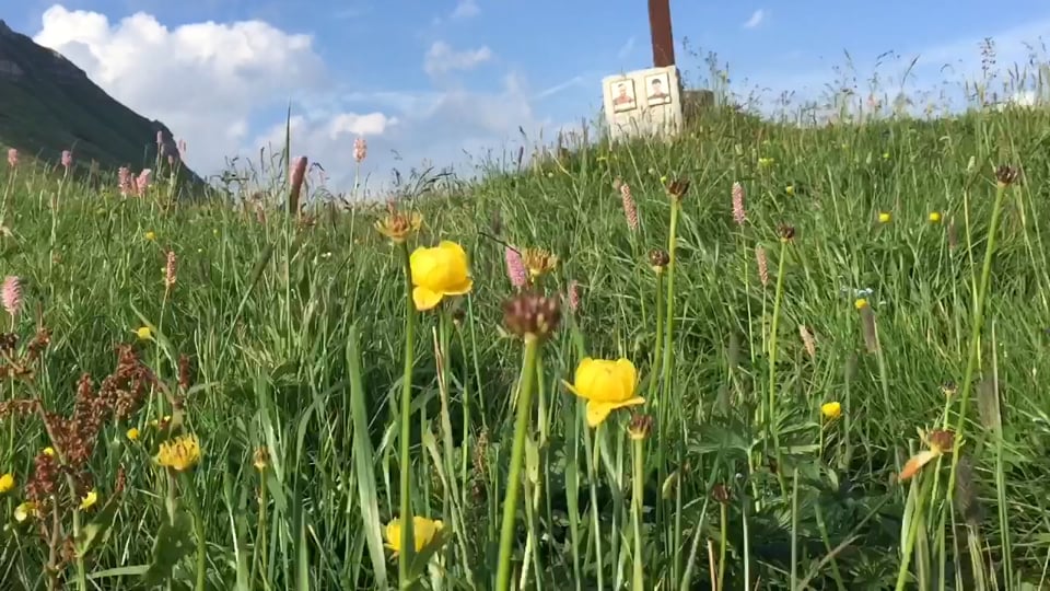 Passo di Croce Domini