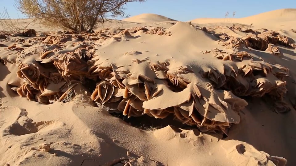 Defender Momente Sahara