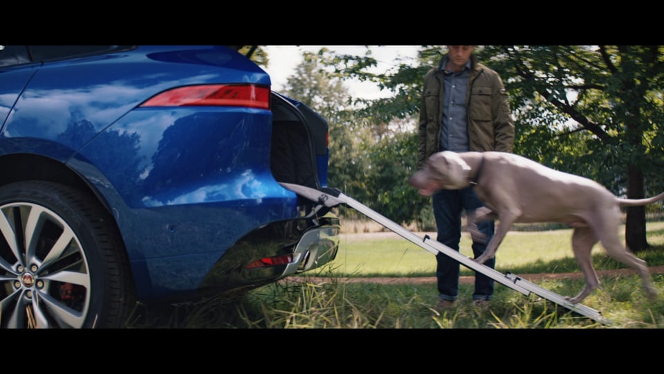  Jaguar has the perfect present for your Pet this Christmas