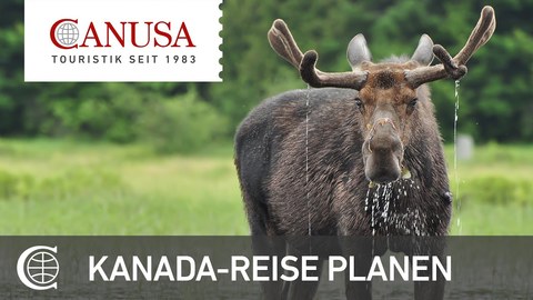 Kanada-Reise planen_ Warum jetzt_ _ CANUSA (BQ).jpg