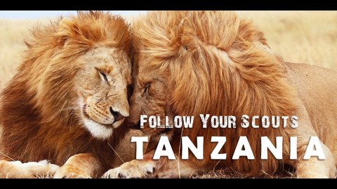 FOLLOW YOUR SCOUTS_ Tansania - Auf Safari in der Serengeti und im Ngorongoro Krater! Eine Traumreise (BQ).jpg