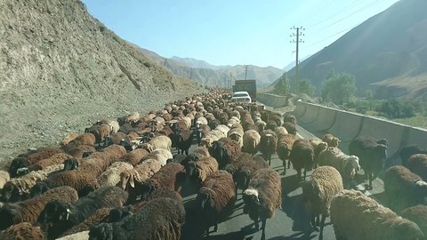 Video des Monats_ Unterwegs in Kirgistan (BQ).jpg