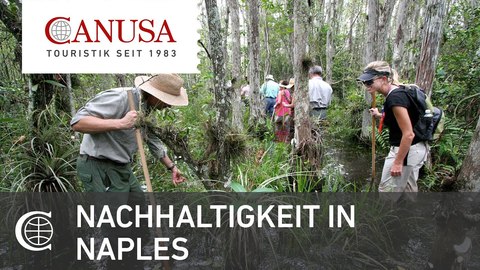 Nachhaltig nach Naples reisen 💚 _ CANUSA (BQ).jpg