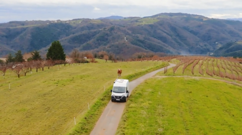 reisemobile dörr - camper vans - wohnmobile - caravans - wohnwagen.PNG