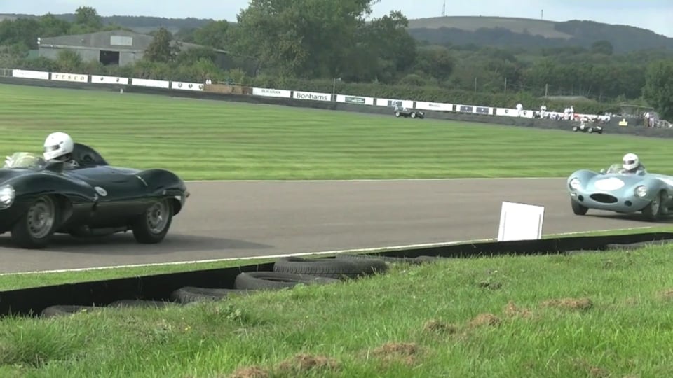 Goodwood Jaguars